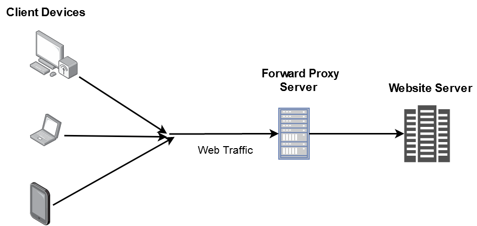 Forward Proxy Description